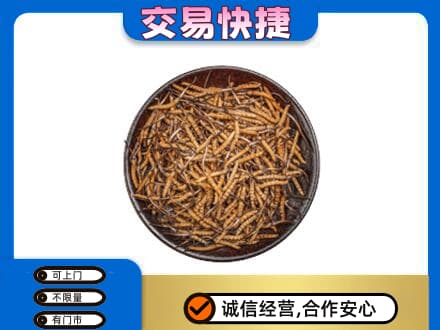 鸡泽县回收散虫草